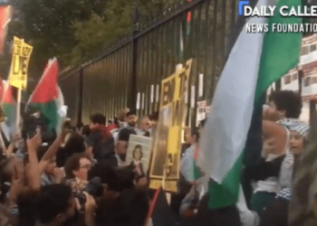 Pro-Palestine protesters swarm White House chanting ‘Allahu akbar’ – Law Officer